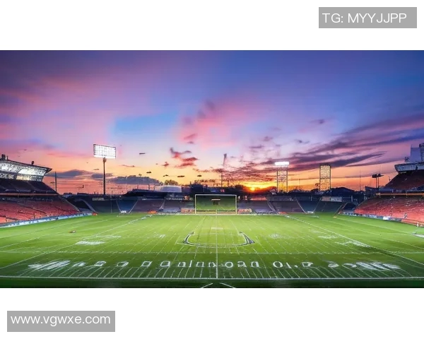 利比亚足球球星实力排行榜与历史最佳球员风采盘点